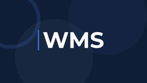 WMS: Sistemas de gestión de almacenes