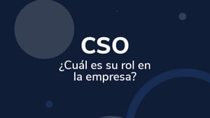 CSO: ¿Cuál es su rol en la empresa?