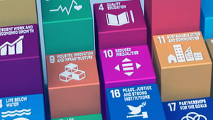 What are the SDGs and why are they important for private companies?