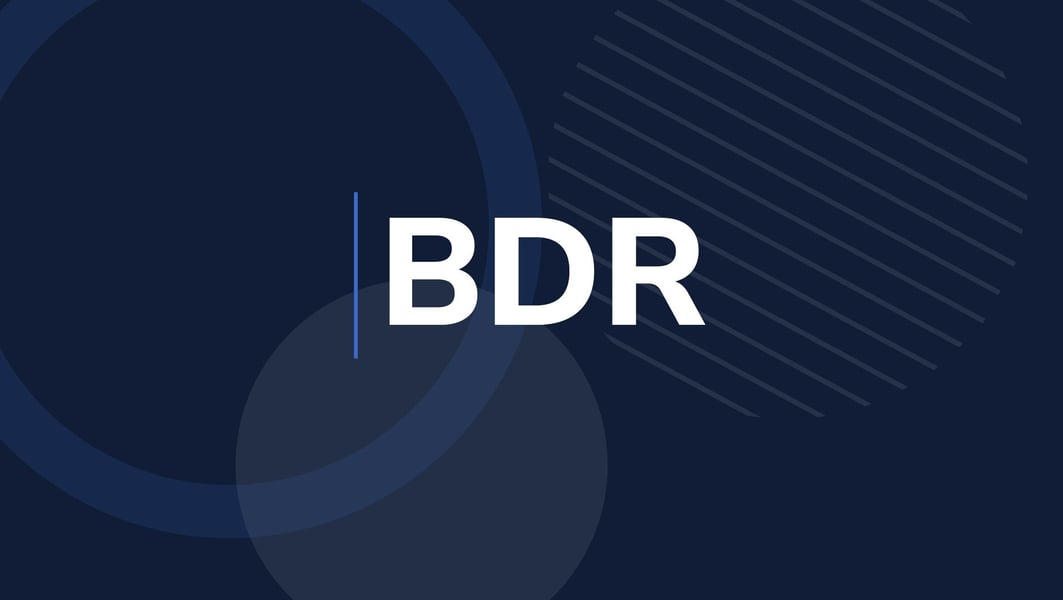 BDR: What is the function of this sales role?