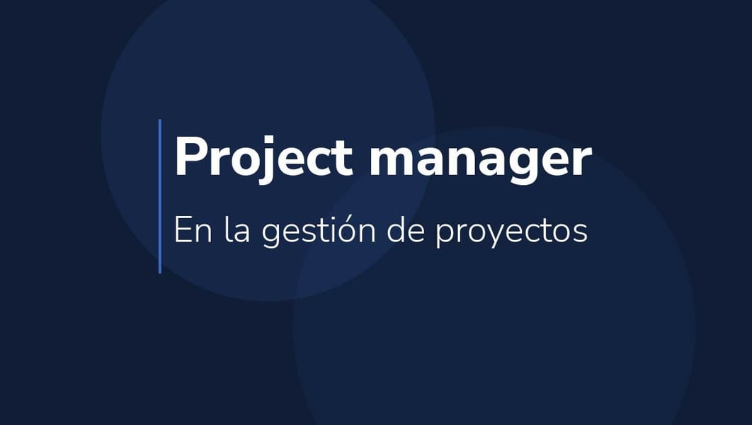 Project Managers: What is their role in project management?