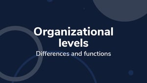 Organizational Levels: Differences and Functions